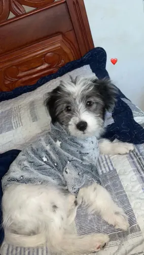 Doação!!!