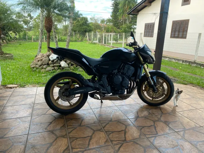Hornet 2012