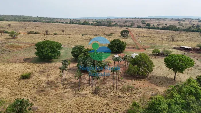 Fazenda 144 Alqueires ou 696 Hectares Dupla Aptidão Montes Claros -GO