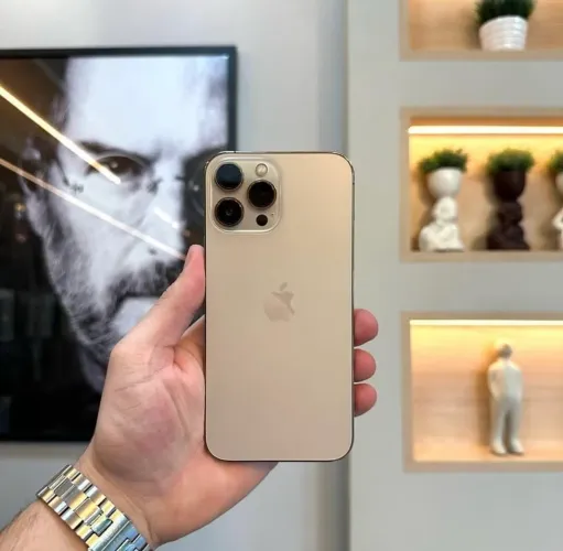 iPhone 13 Pro Max 256gb
