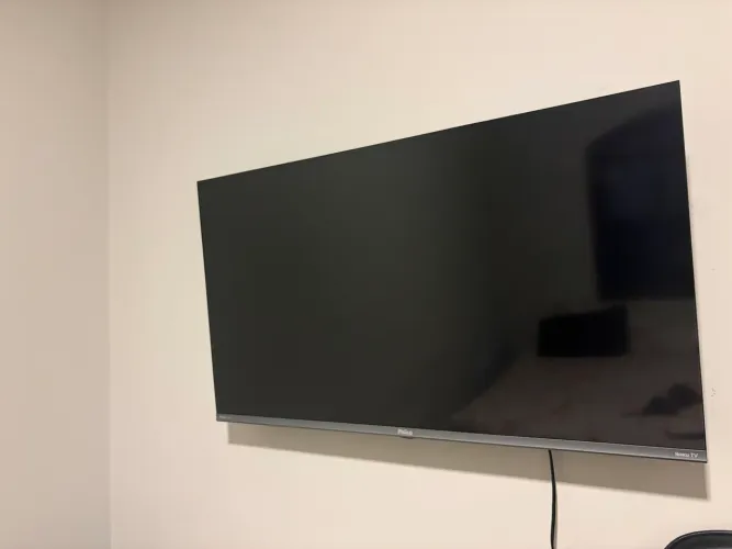 Vendo tv Philco ROKU para o tratamento de cinomose da minha cachorrinha