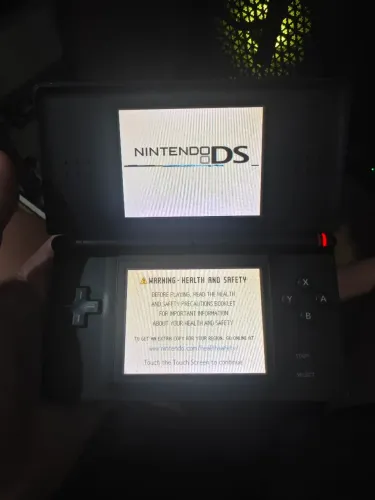 Nintendo DS lite