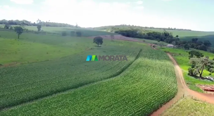 FAZENDA À VENDA - 120 HECTARES - FORMIGA (MG)