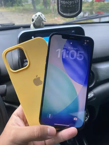 IPHONE 12 PRO MAX