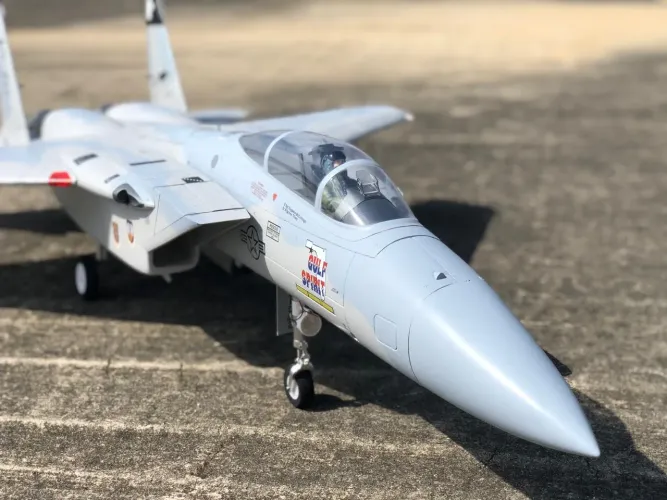 Aeromodelo jato F15 escala Freewing