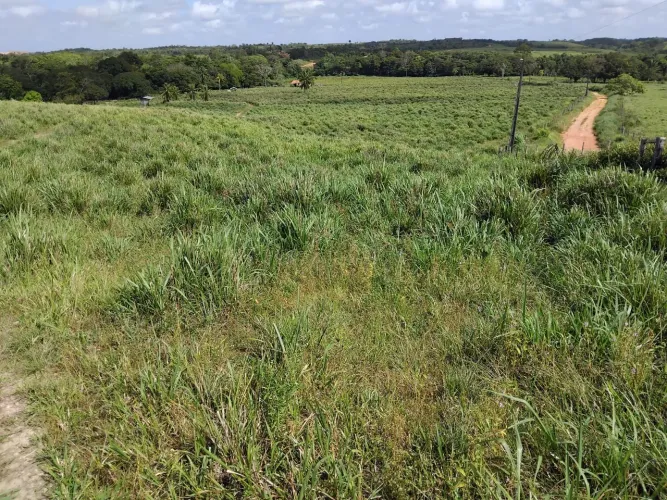 Fazenda