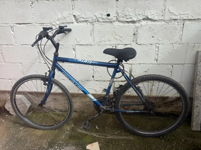 Bicicleta