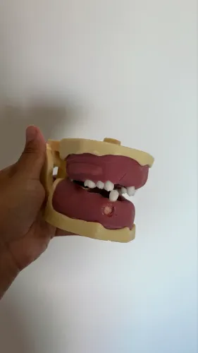 Manequim de cirurgia