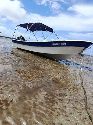 Lancha panga