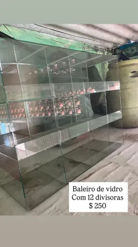 Baleiro de vidro