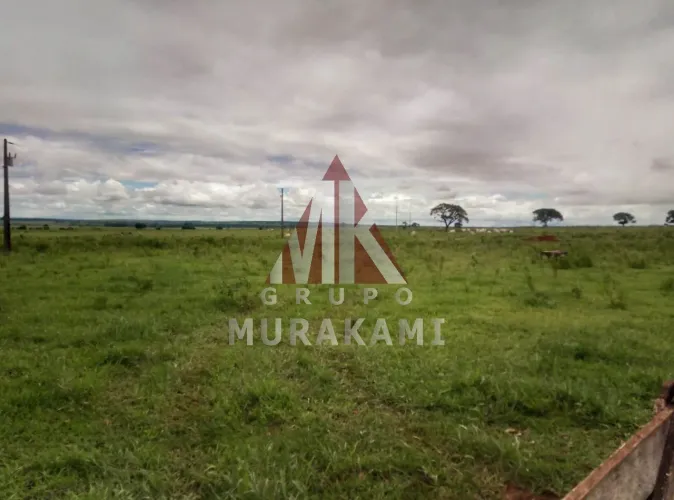 FAZENDA - AMAMBAÍ - MS