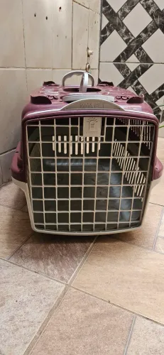 Vendo Transporte Pet