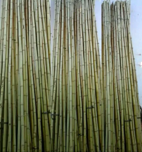 Mastro de Bandeira em bambu 
