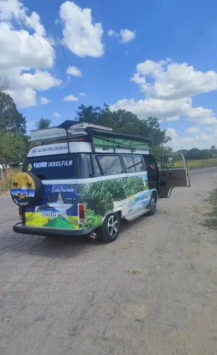 Volkswagen Kombi Lotação 1.4 MI Total Flex 8V 2009