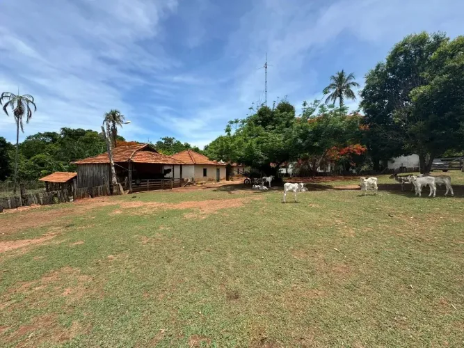 Fazenda São Luís de Montes Belos Goiás