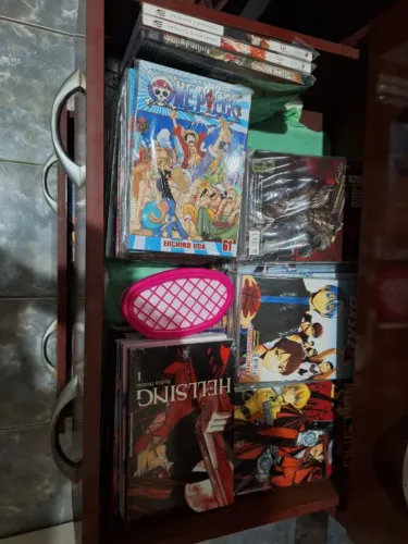 Venda de Mangas Variados