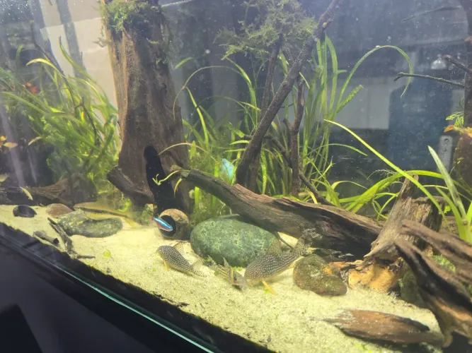 Aquario 90x30x30