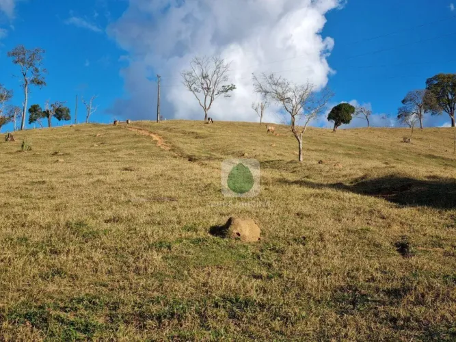 Terreno rural com boa topografia e terra fértil no bairro dos Rosas à venda, 72600 m² por