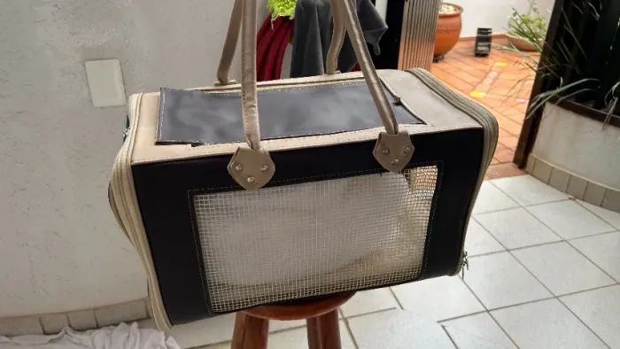 Bolsa PET