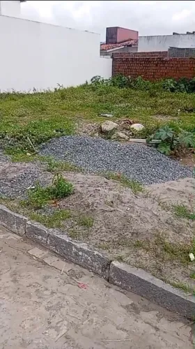 Trabalho: Limpeza de Terreno
