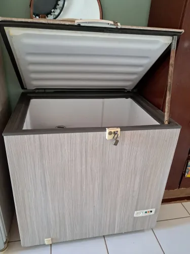 Freezer horizontal