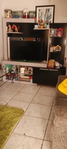Televisão