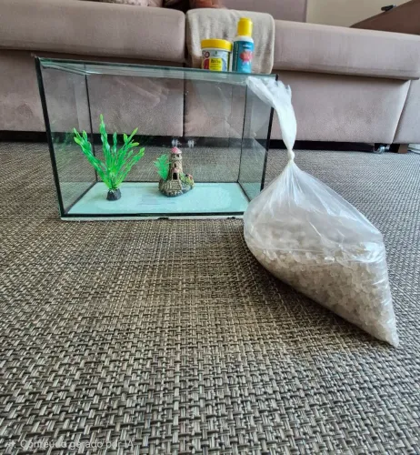 Aquário para peixe Betta + acessórios
