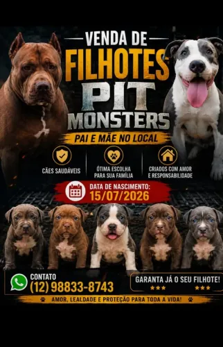 meus pit Bull