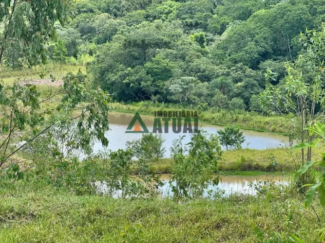 ÁREA RURAL COM 2,4 ALQUEIRES A VENDA EM TAMARANA-PR.