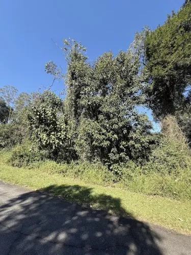 Terreno para Venda em Cajamar, Serra dos Lagos (Jordanésia)