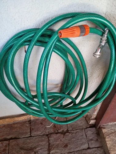 Mangueira