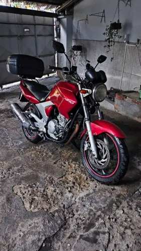 Fazer 2008