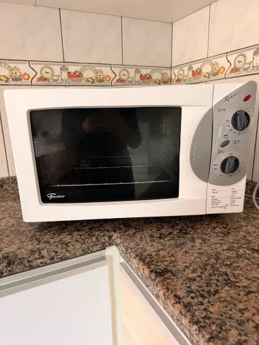Forno elétrico fisher