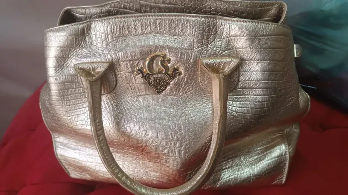 Vendo bolsa Carmem Steffens