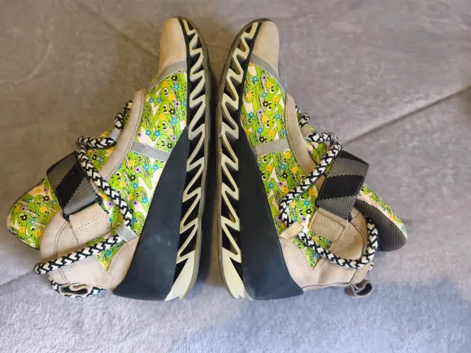 Tenis