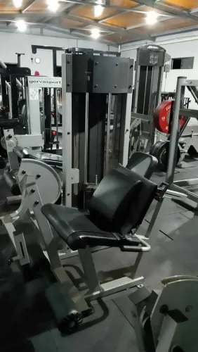 Cadeira Extensora Life Fitness
