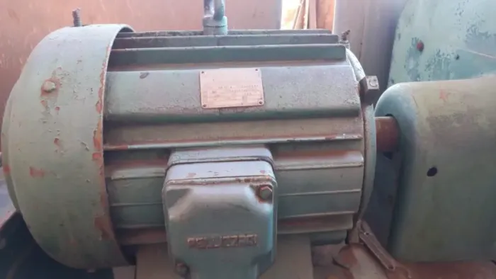Motor Assíncrono Trifásico 50hp/cv, 220V, Pellizzari