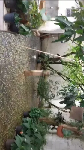 Casa a venda jardim. Imperial são José dos campos 