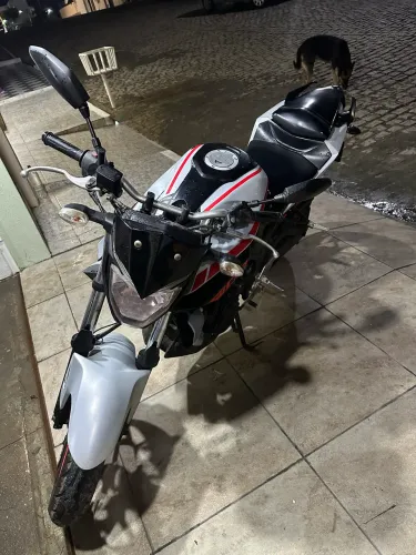 MT 03