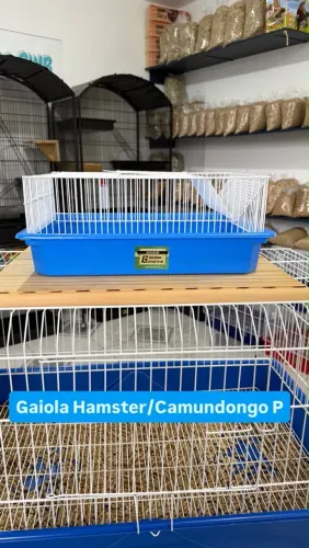 Gaiola para Hamster (Roedores CWB)