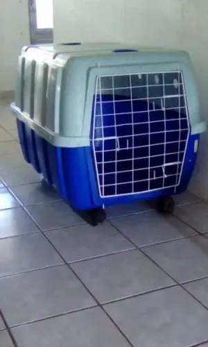 Caixa Transporte Click New Número 4 Azul Cão Grande Rodinhas Ventilação 90cm
