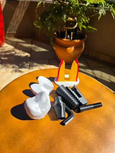 Modelo Demonstrativo Anatômico em 3D para Apresentação Educativa