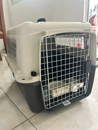 Caixa transportadora cães e gatos Kennel para avião, ônibus