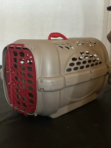Caixa de transporte pet