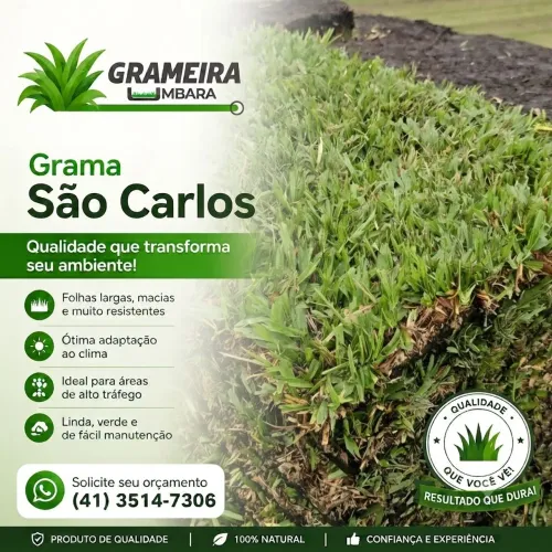 Grama São Carlos
