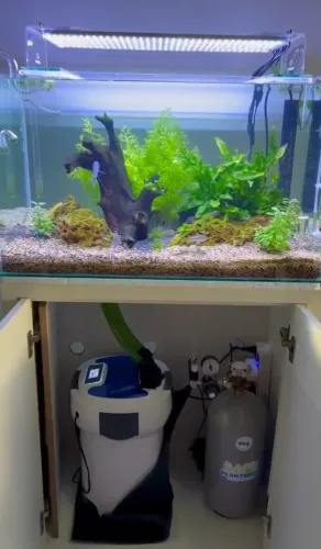 Aquário completo com CO2