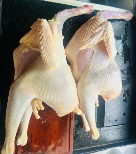 Frango/galinha de capoeira 