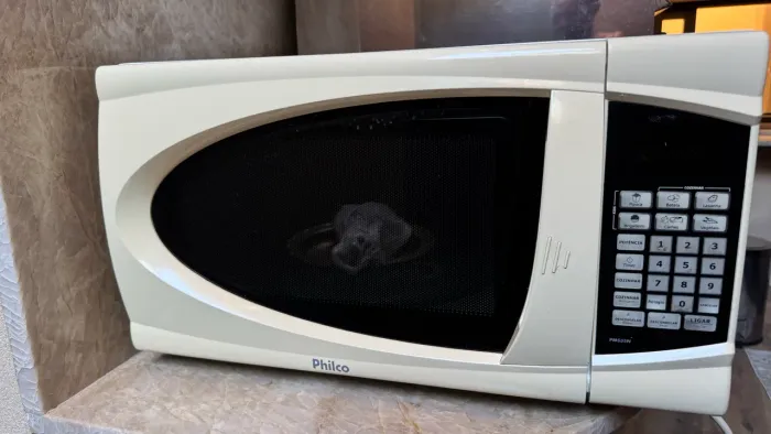 MICRO ONDAS PHILCO, E FORNO ELÉTRICO LAYR