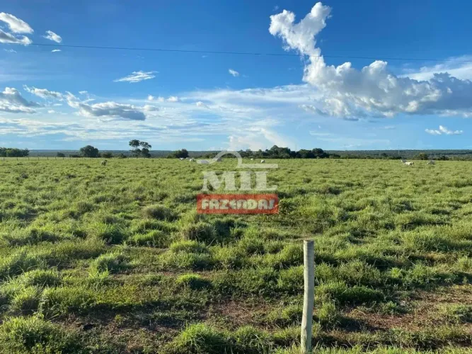 Fazenda Montada em São Valério-TO. (277 Alqueires) Soja ou Gado