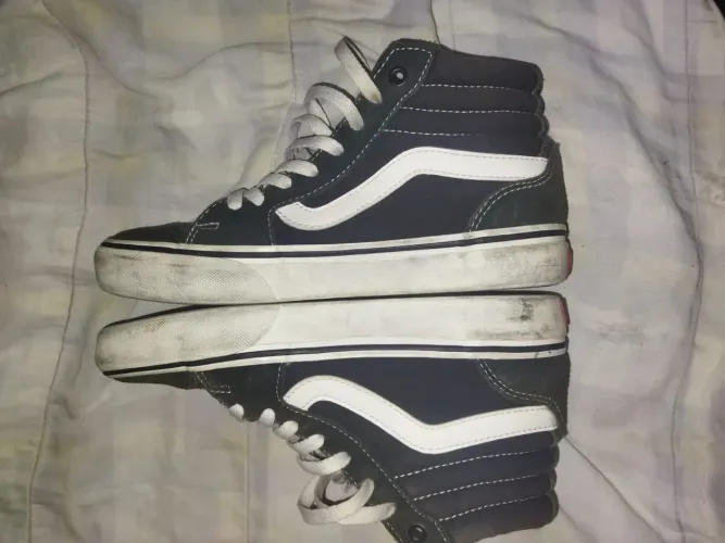 vans numero 37